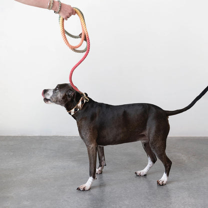 Braided Cotton + Leather Dog Leash