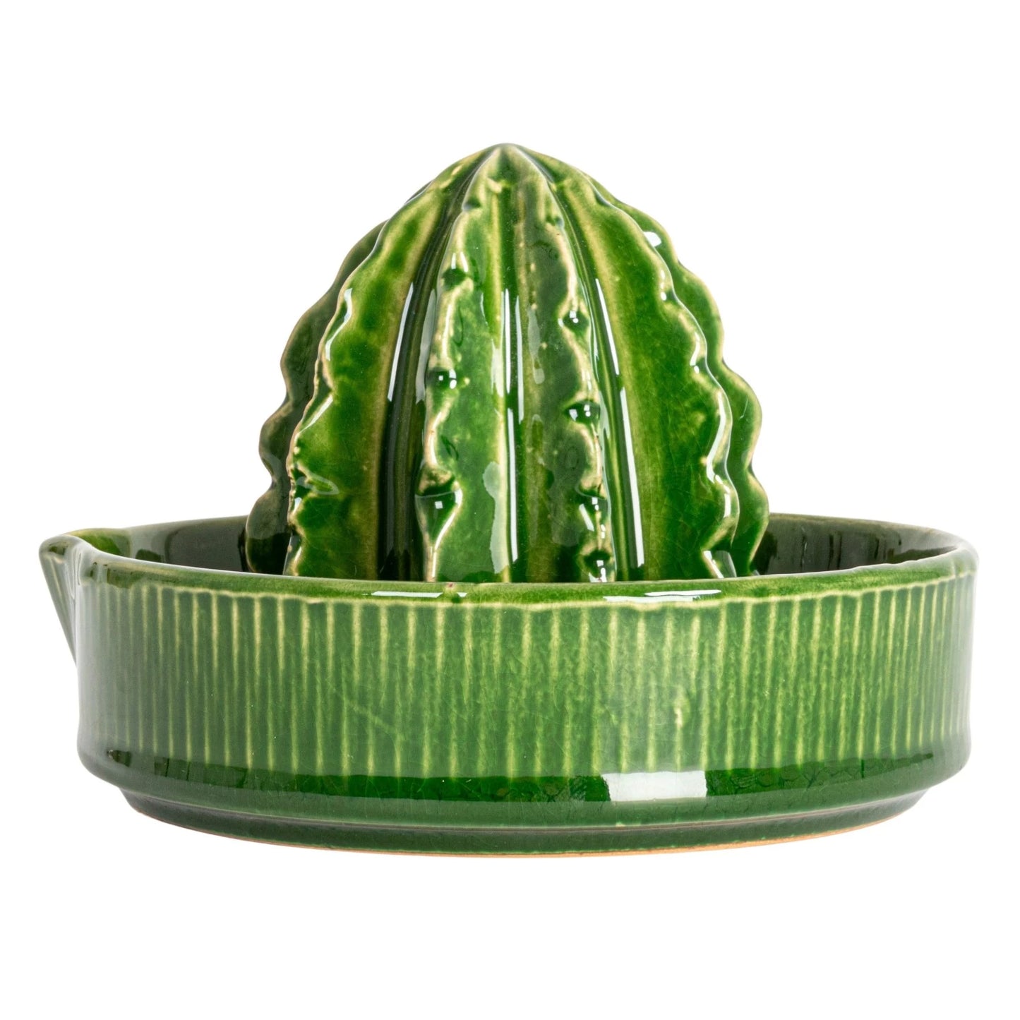 Stoneware Cactus Shaped Juicer (Each One Will Vary)