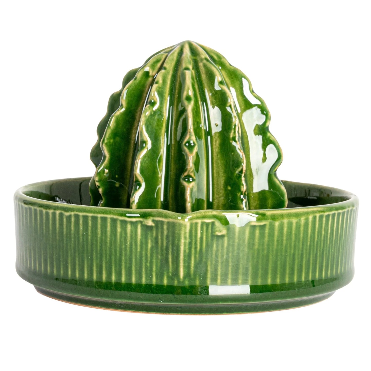 Stoneware Cactus Shaped Juicer (Each One Will Vary)