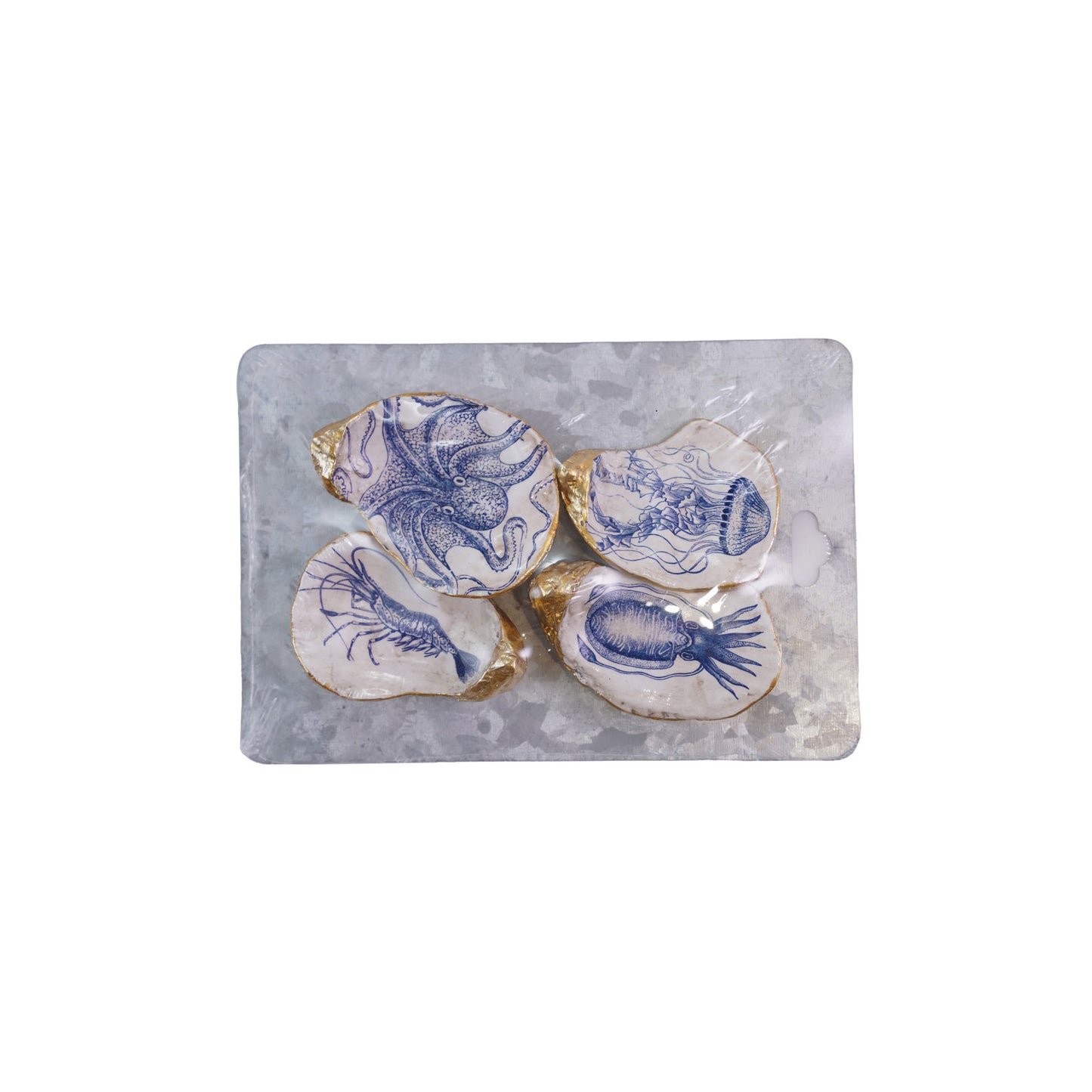 Resin Oyster Shell Shaped Magnets on Metal Card, Set of 4