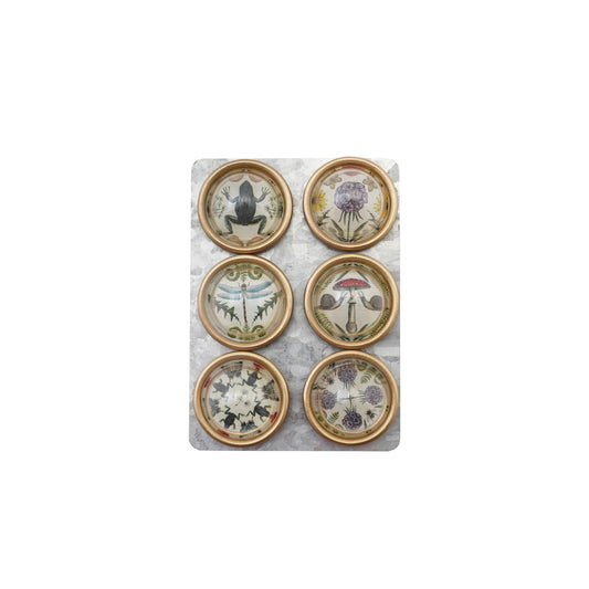 Animal & Botanical Magnet Set