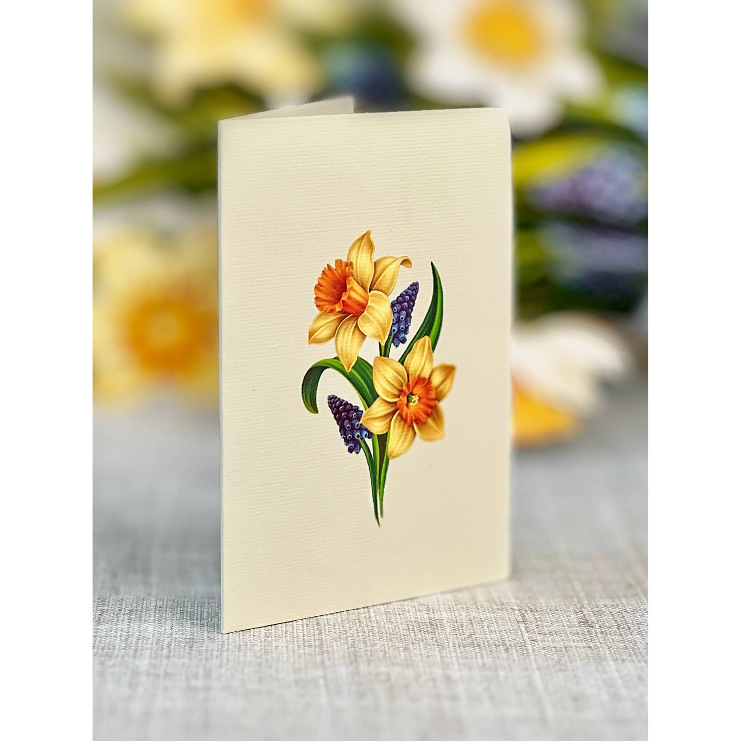 Mini English Daffodils Pop-up Greeting Cards
