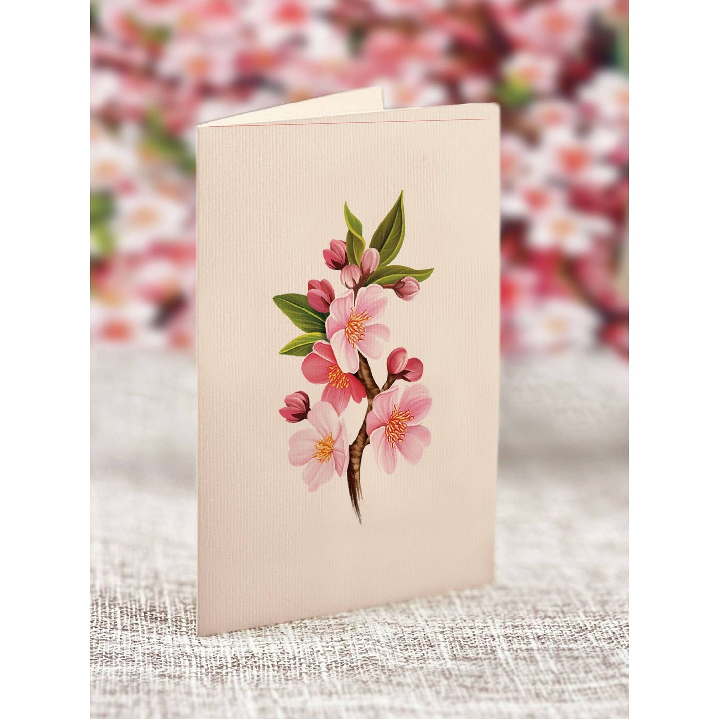 Japanese Cherry Blossoms Pop-up Greeting Cards