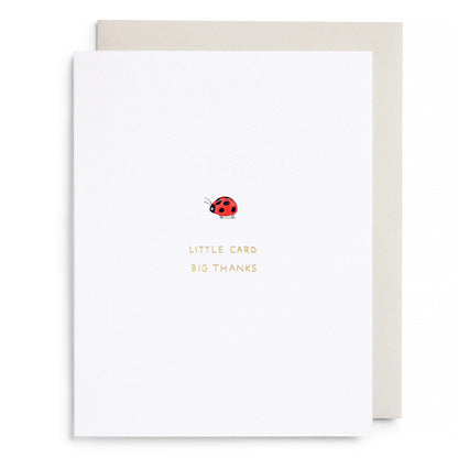 Little Card Big Thanks Greeting Card