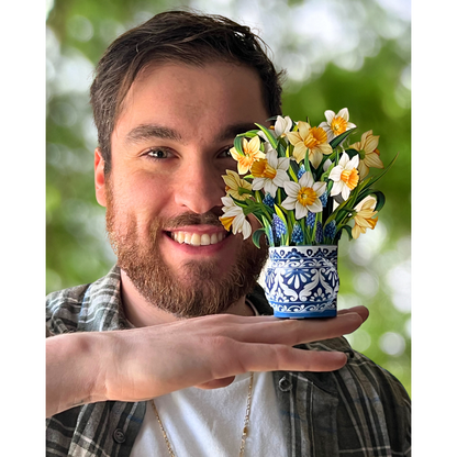 Mini English Daffodils Pop-up Greeting Cards