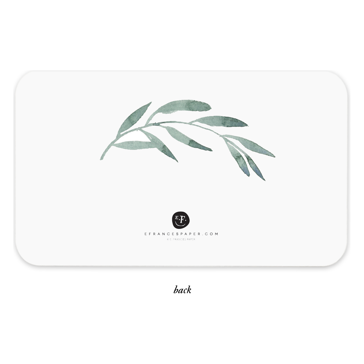 Olive Branch Little Notes®