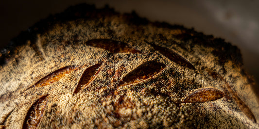 From Starter to Loaf: The Art of Sourdough - Fall Edition - Sold Out