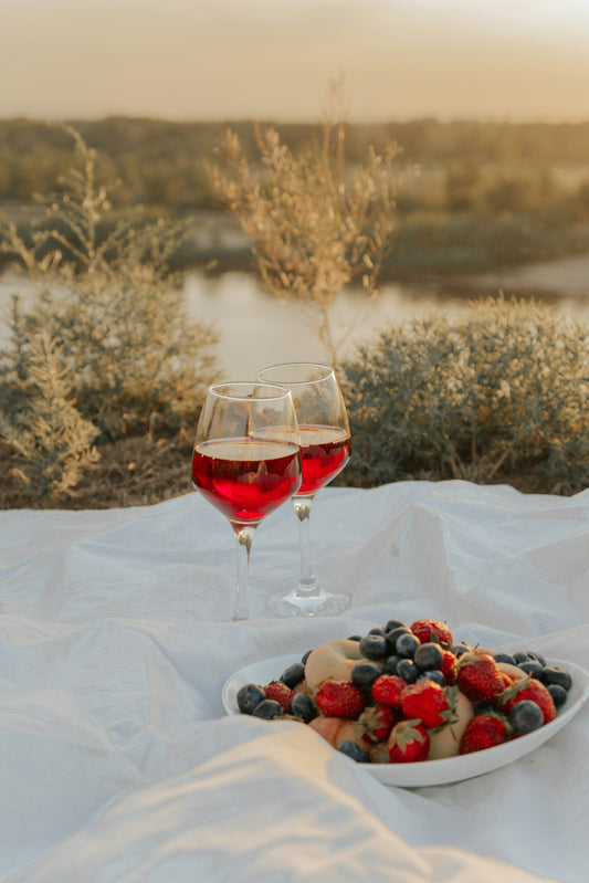 Below the Equator: Wines from the Southern Hemisphere