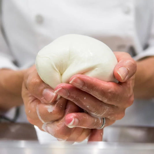 Making Mozzarella