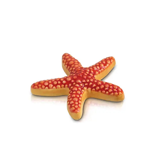 Nora Fleming Mini Sea Star - DT - Browns Kitchen