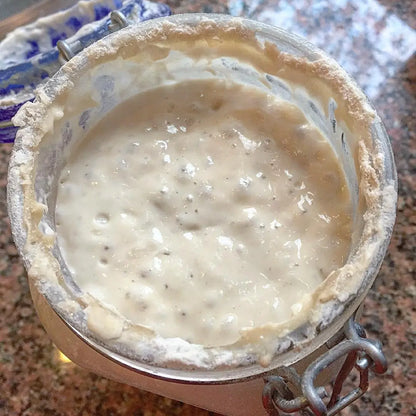 Sourdough Starter (Dry) Breadtopia